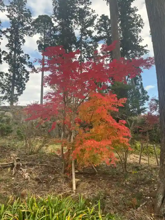 八幡宮(茨城県)