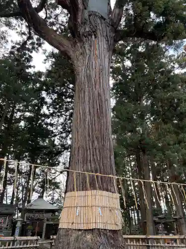 日高神社(岩手県)