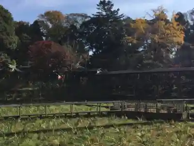本土寺(千葉県)