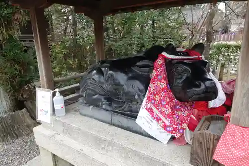 北野天満宮の狛犬