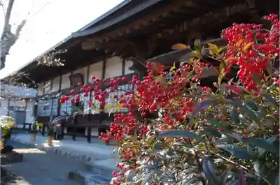金仙寺の本殿・本堂