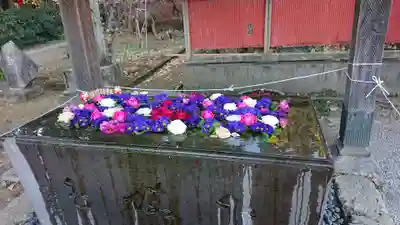 前玉神社の手水舎