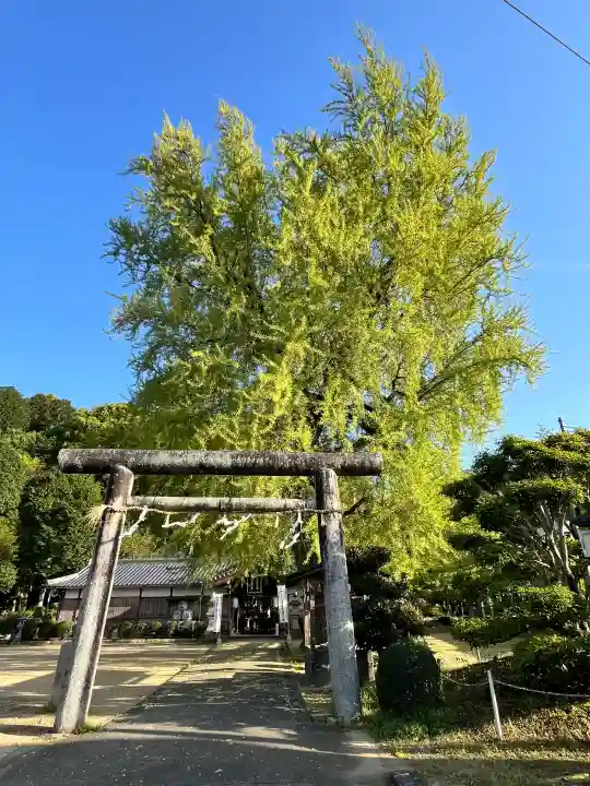 丹生酒殿神社の{uncategorized: "未分類", other: "その他", undefined: "問題あり", building: "その他建物", grave: "お墓", sacred_gate: "鳥居", guardian: "狛犬", statue: "像", buddha: "仏像", history: "歴史", nature: "自然", garden: "庭園", animal: "動物", pagoda: "塔", temizu: "手水舎", mountain_gate: "山門・神門", sanctuary: "本殿・本堂", subordinate: "末社・摂社", art: "芸術", scenery: "景色", jizo: "地蔵", ema: "絵馬", goshuin: "御朱印", omikuji: "おみくじ", items: "授与品その他", amulet: "お守り", goshuincho: "御朱印帳", eats: "食事", festival: "お祭り", votive_dance: "神楽", shichigosan: "七五三参", wedding: "結婚式", experience: "体験その他", initially: "初詣", around: "周辺", anti_infection: "感染症対策"}