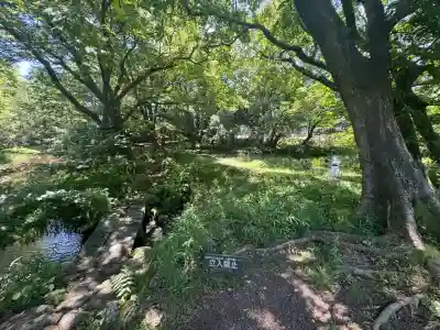 廣瀬神社(静岡県)