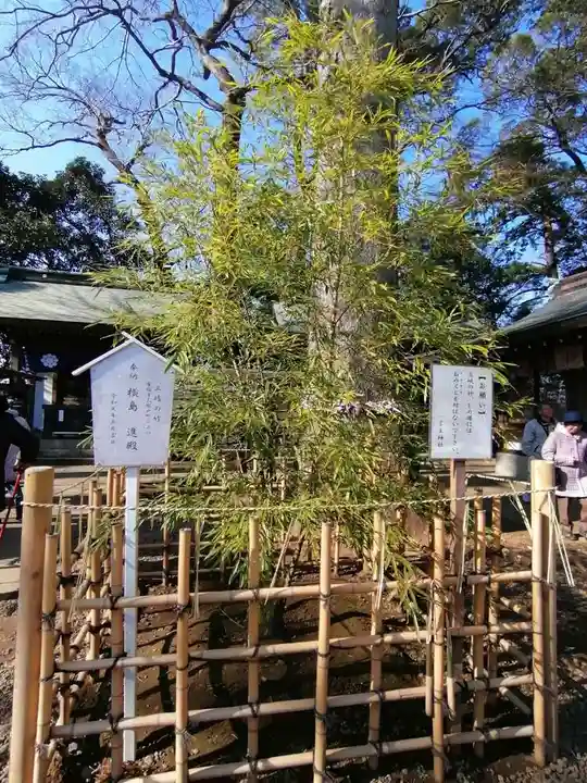 一言主神社の自然