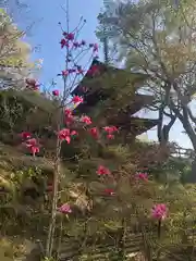 岡寺（龍蓋寺）(奈良県)