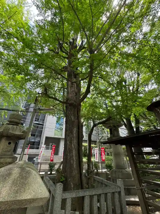 神明社の{uncategorized: "未分類", other: "その他", undefined: "問題あり", building: "その他建物", grave: "お墓", sacred_gate: "鳥居", guardian: "狛犬", statue: "像", buddha: "仏像", history: "歴史", nature: "自然", garden: "庭園", animal: "動物", pagoda: "塔", temizu: "手水舎", mountain_gate: "山門・神門", sanctuary: "本殿・本堂", subordinate: "末社・摂社", art: "芸術", scenery: "景色", jizo: "地蔵", ema: "絵馬", goshuin: "御朱印", omikuji: "おみくじ", items: "授与品その他", amulet: "お守り", goshuincho: "御朱印帳", eats: "食事", festival: "お祭り", votive_dance: "神楽", shichigosan: "七五三参", wedding: "結婚式", experience: "体験その他", initially: "初詣", around: "周辺", anti_infection: "感染症対策"}