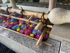 東郷神社(東京都)