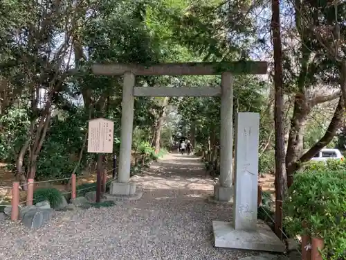 櫻木神社の鳥居