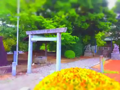 相生神社の鳥居