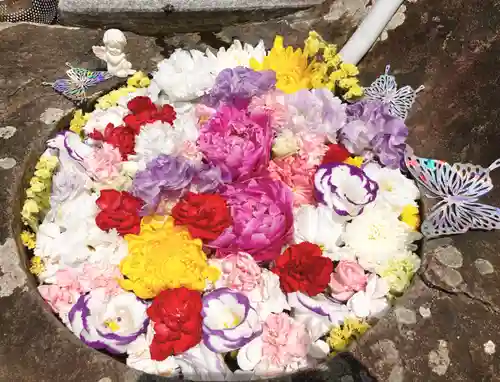 真言宗　善通寺派　薬王寺(香川県)