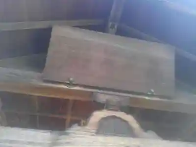 円泉寺(東京都)