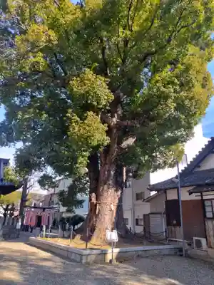 島頭天満宮(大阪府)
