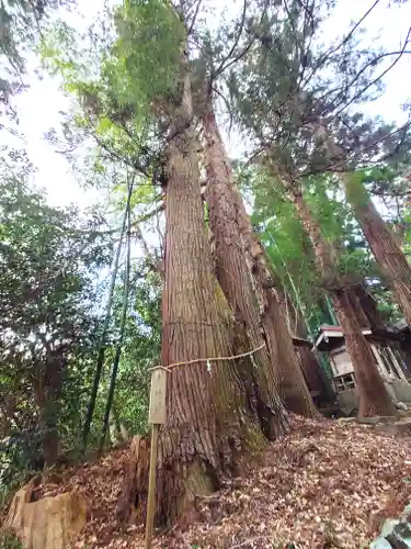熊野神社(宮城県)