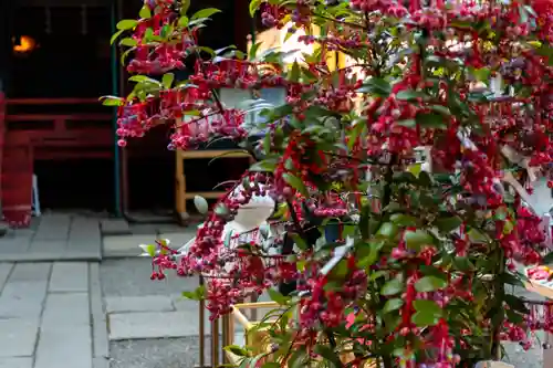 赤坂氷川神社(東京都)