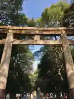 明治神宮(東京都)