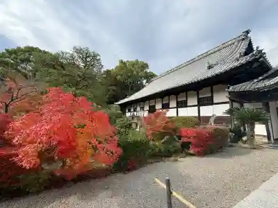 井山 宝福寺(岡山県)