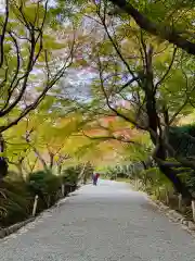 龍安寺(京都府)