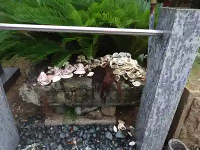 年毛神社(福岡県)