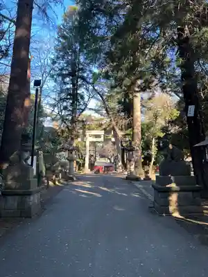 岩槻久伊豆神社(埼玉県)