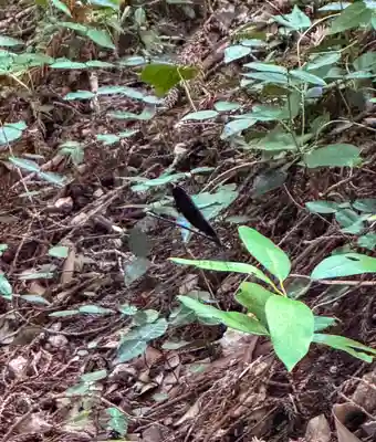 宮道天神社(愛知県)