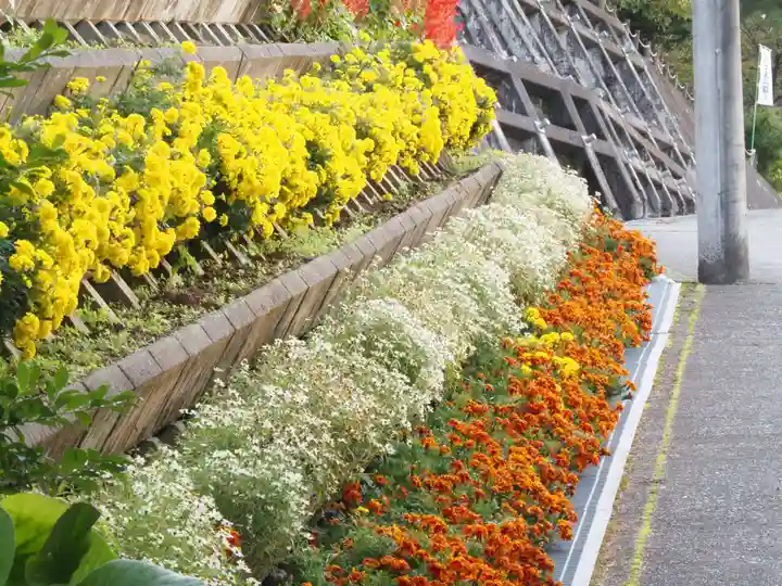 諏訪神社の自然