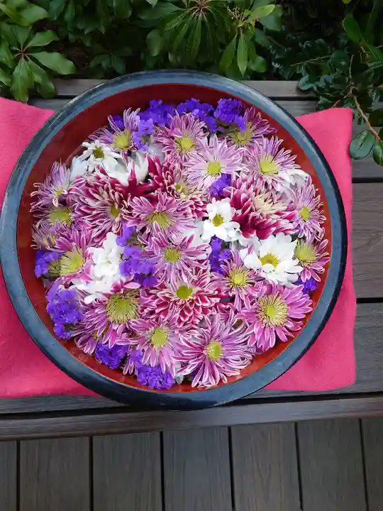 増上寺塔頭 三縁山 宝珠院の手水舎