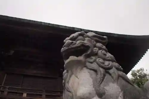 穴切大神社の狛犬