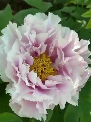 薬師院(兵庫県)