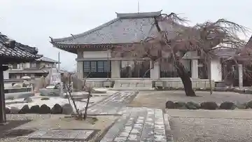 龍興寺の本殿・本堂