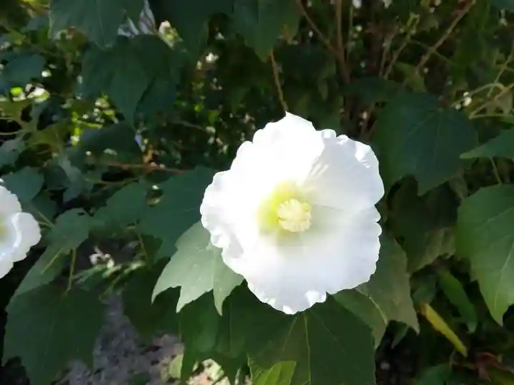 宗隣寺(山口県)