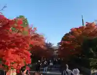 真正極楽寺(真如堂)(京都府)