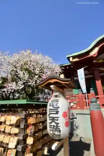 亀戸天神社の絵馬