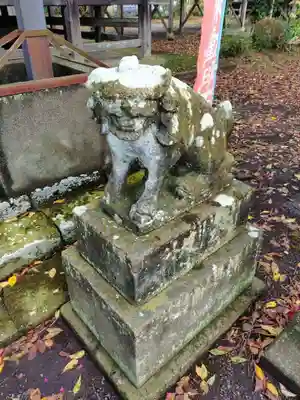 崇真寺(開運犬り切不動尊)(栃木県)