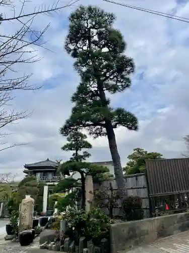 日蓮宗龍口山本龍寺の{uncategorized: "未分類", other: "その他", undefined: "問題あり", building: "その他建物", grave: "お墓", sacred_gate: "鳥居", guardian: "狛犬", statue: "像", buddha: "仏像", history: "歴史", nature: "自然", garden: "庭園", animal: "動物", pagoda: "塔", temizu: "手水舎", mountain_gate: "山門・神門", sanctuary: "本殿・本堂", subordinate: "末社・摂社", art: "芸術", scenery: "景色", jizo: "地蔵", ema: "絵馬", goshuin: "御朱印", omikuji: "おみくじ", items: "授与品その他", amulet: "お守り", goshuincho: "御朱印帳", eats: "食事", festival: "お祭り", votive_dance: "神楽", shichigosan: "七五三参", wedding: "結婚式", experience: "体験その他", initially: "初詣", around: "周辺", anti_infection: "感染症対策"}