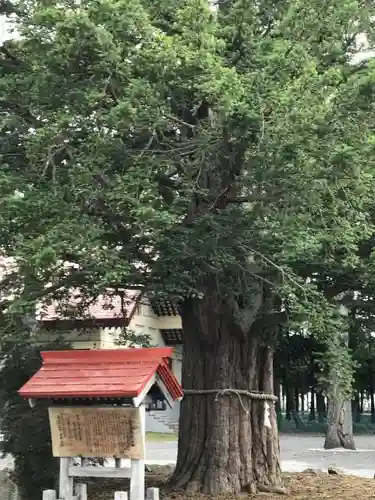 豊栄神社のその他建物
