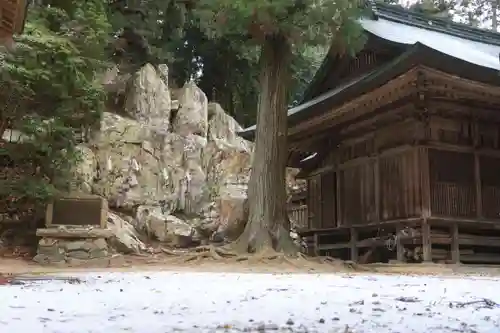 鹿島大神宮の自然