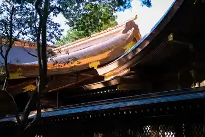 大麻比古神社(徳島県)