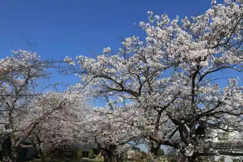 水天宮の景色