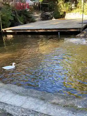 平塚八幡宮(神奈川県)