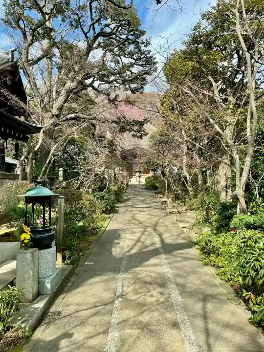 無量寺の{uncategorized: "未分類", other: "その他", undefined: "問題あり", building: "その他建物", grave: "お墓", sacred_gate: "鳥居", guardian: "狛犬", statue: "像", buddha: "仏像", history: "歴史", nature: "自然", garden: "庭園", animal: "動物", pagoda: "塔", temizu: "手水舎", mountain_gate: "山門・神門", sanctuary: "本殿・本堂", subordinate: "末社・摂社", art: "芸術", scenery: "景色", jizo: "地蔵", ema: "絵馬", goshuin: "御朱印", omikuji: "おみくじ", items: "授与品その他", amulet: "お守り", goshuincho: "御朱印帳", eats: "食事", festival: "お祭り", votive_dance: "神楽", shichigosan: "七五三参", wedding: "結婚式", experience: "体験その他", initially: "初詣", around: "周辺", anti_infection: "感染症対策"}
