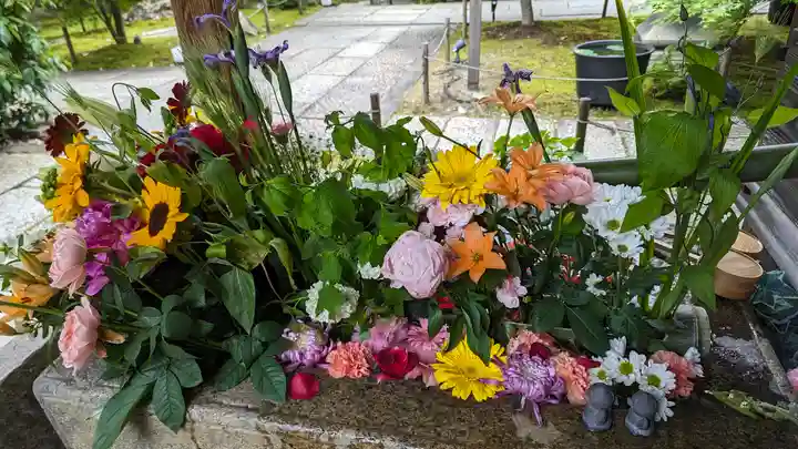 勝林寺(京都府)