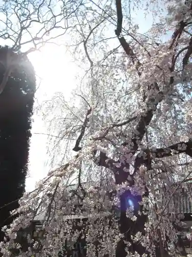 慶龍寺(茨城県)