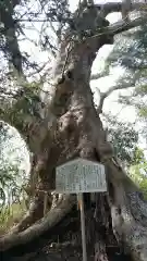 日高見神社の自然