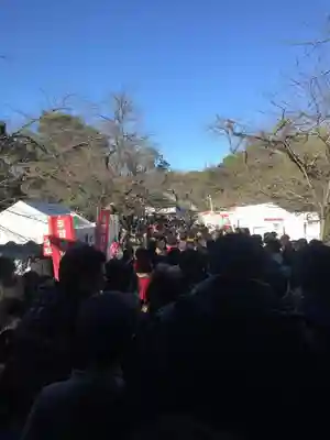 三嶋大社の初詣