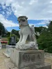 美幌神社の狛犬