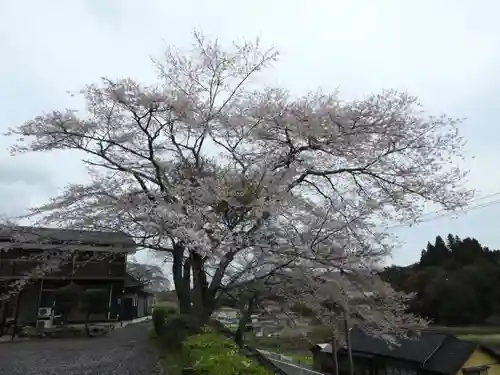荘厳寺(岐阜県)
