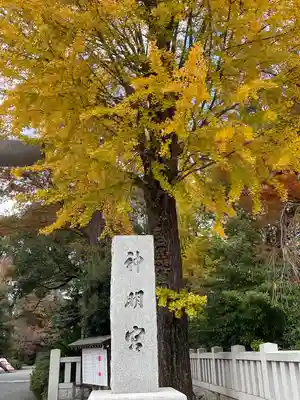 阿佐ヶ谷神明宮(東京都)