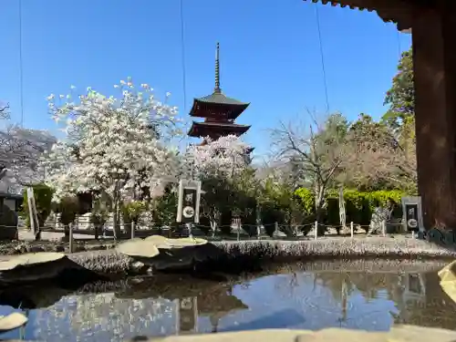 最勝院の建物その他