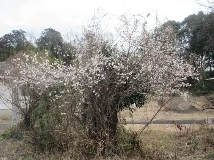 盛岸院(茨城県)